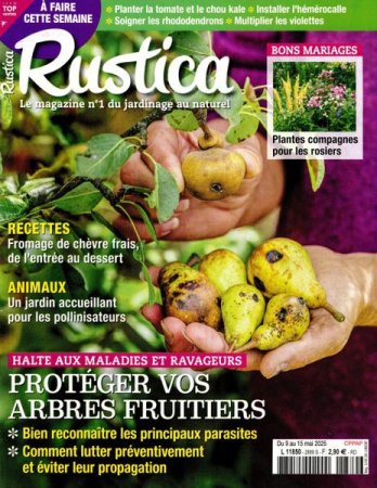 RUSTICA