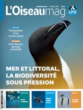 L'OISEAU MAG